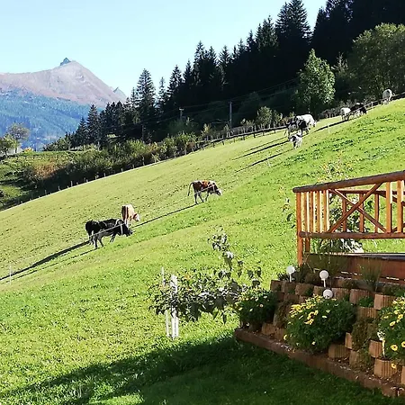 Urlaub Am Krausberghof, Apartment Mit Balkon Und Parkplatz, Inmitten Der Natur, Sauna Und Infrarotkabine, Kostenfreie Kaffeekapseln, 6 Fahrminuten Zur Alpentherme Gastein Und Zur Schlossalmbahn, Spielplatz Apartment Bad Hofgastein