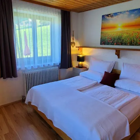 Aufenthaltsraum Mit Spielen, Ferienwohnung Mit Balkon Und Parkplatz, Erholung- Inmitten Der Natur, 6 Fahrminuten Zur Alpentherme Gastein Und Zur Schlossalmbahn Daire *